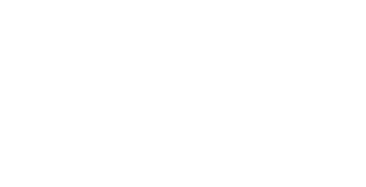 2017