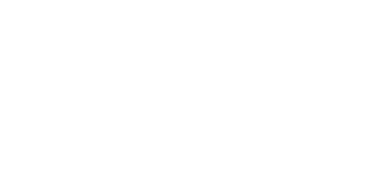 2019